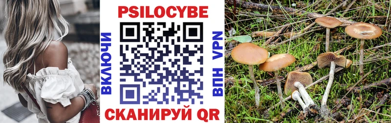 Псилоцибиновые грибы мицелий  где купить наркоту  Дмитров 